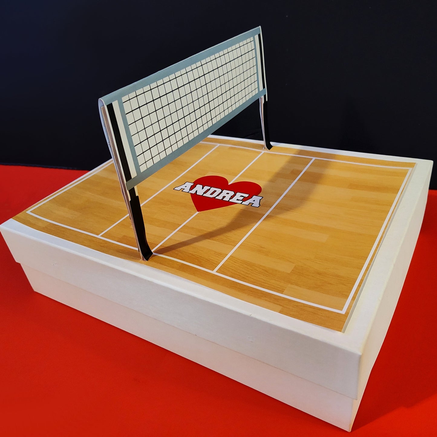 Printable Valentines Volleyball Court For Box || EDITABLE DIGITAL DOWNLOAD