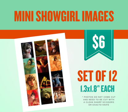 Life of a Showgirl Edible Cake Topper Sugar Sheet | for a Swiftie Birthday or Bridal