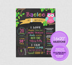 Owl Birthday Milestone Poster - EDITABLE INSTANT DOWNLOAD - Owl Birthday, Chalkboard Sign, Owl Chalkboard Poster, 1st Birthday