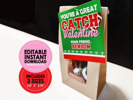 You're a Great Catch Printable Football Valentines || EDITABLE INSTANT DOWNLOAD